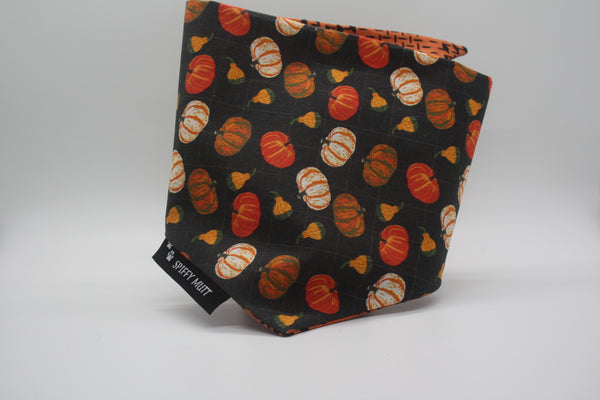Gourds – Spiffy Mutt Bandanas